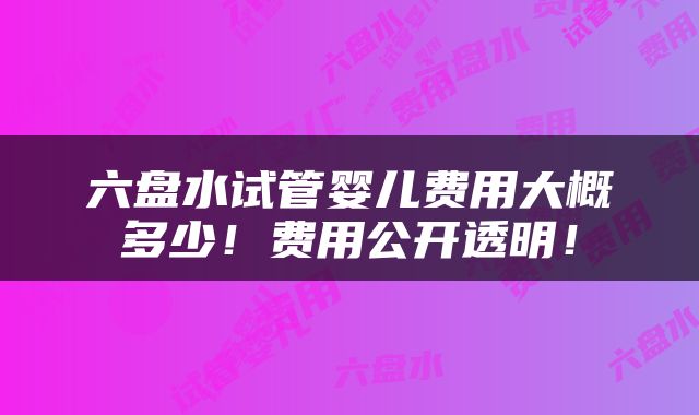 六盘水试管婴儿费用大概多少！费用公开透明！