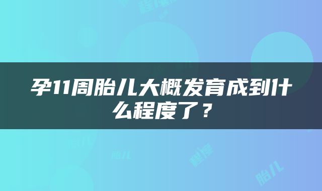 孕11周胎儿大概发育成到什么程度了？