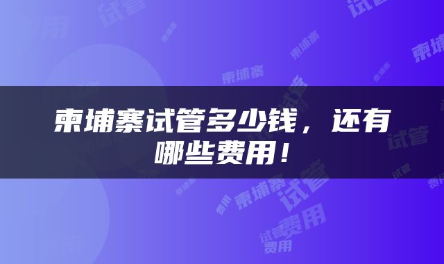 柬埔寨试管多少钱，还有哪些费用！