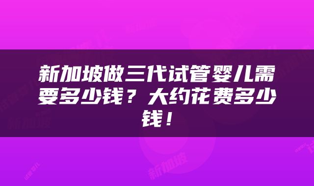 新加坡做三代试管婴儿需要多少钱？大约花费多少钱！