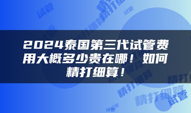 2024泰国第三代试管费用大概多少贵在哪！如何精打细算！