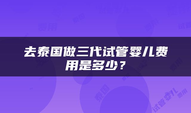 去泰国做三代试管婴儿费用是多少？
