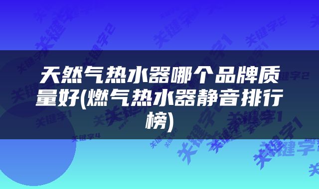 天然气热水器哪个品牌质量好(燃气热水器静音排行榜)