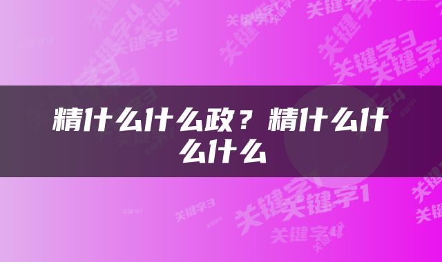 精什么什么政？精什么什么什么