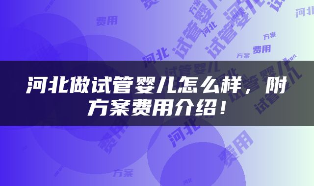 河北做试管婴儿怎么样，附方案费用介绍！