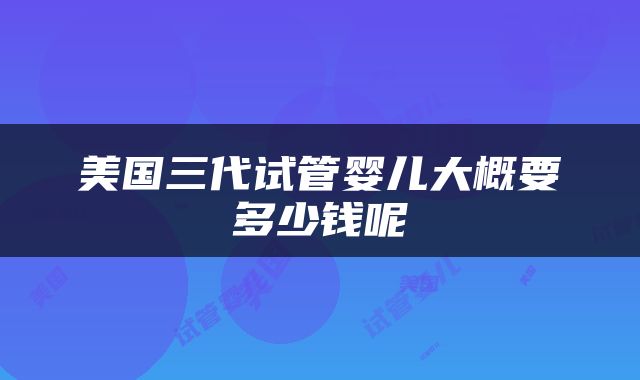 美国三代试管婴儿大概要多少钱呢