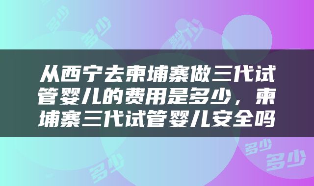 从西宁去柬埔寨做三代试管婴儿的费用是多少，柬埔寨三代试管婴儿安全吗