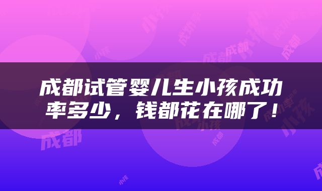 成都试管婴儿生小孩成功率多少，钱都花在哪了！