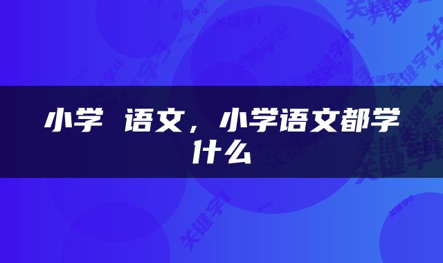 小学 语文，小学语文都学什么