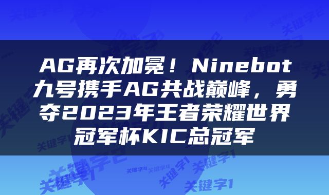 AG再次加冕！Ninebot九号携手AG共战巅峰，勇夺2023年王者荣耀世界冠军杯KIC总冠军