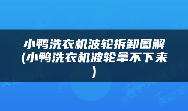 小鸭洗衣机波轮拆卸图解(小鸭洗衣机波轮拿不下来)