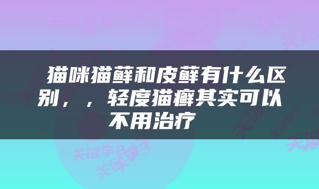 猫咪猫藓和皮藓有什么区别,,轻度猫癣其实可以不用治疗