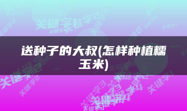送种子的大叔(怎样种植糯玉米)
