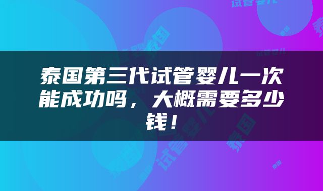 泰国第三代试管婴儿一次能成功吗，大概需要多少钱！