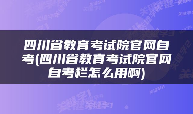 四川省教育考试院官网自考(四川省教育考试院官网自考栏怎么用啊)