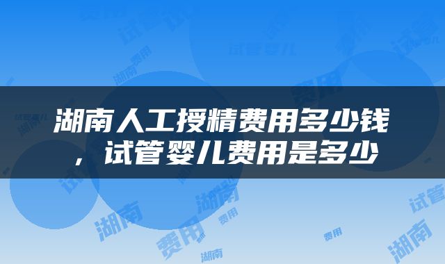 湖南人工授精费用多少钱，试管婴儿费用是多少