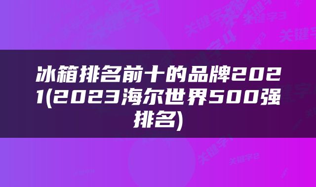 冰箱排名前十的品牌2021(2023海尔世界500强排名)