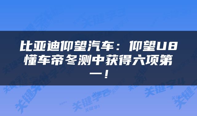 比亚迪仰望汽车：仰望U8懂车帝冬测中获得六项第一！