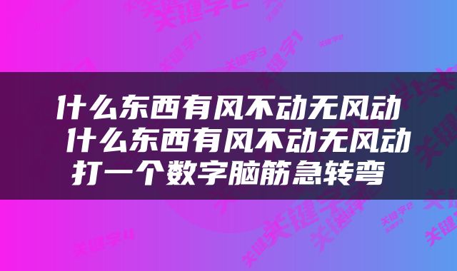 什么东西有风不动无风动 什么东西有风不动无风动打一个数字脑筋急转弯