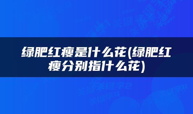 绿肥红瘦是什么花(绿肥红瘦分别指什么花)