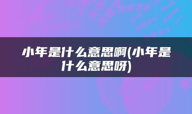 小年是什么意思啊(小年是什么意思呀)