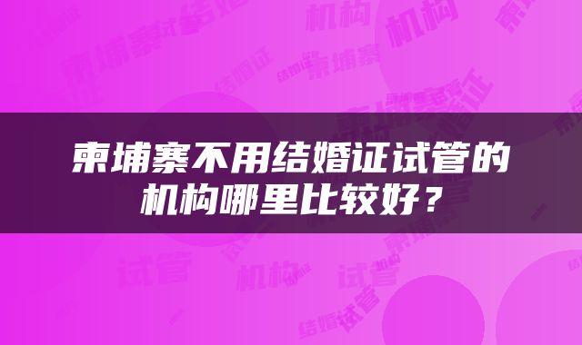 柬埔寨不用结婚证试管的机构哪里比较好？