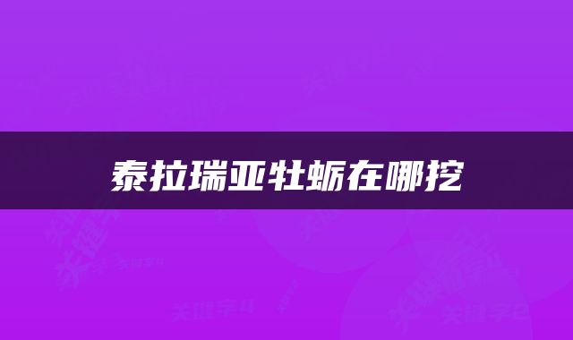 泰拉瑞亚牡蛎在哪挖