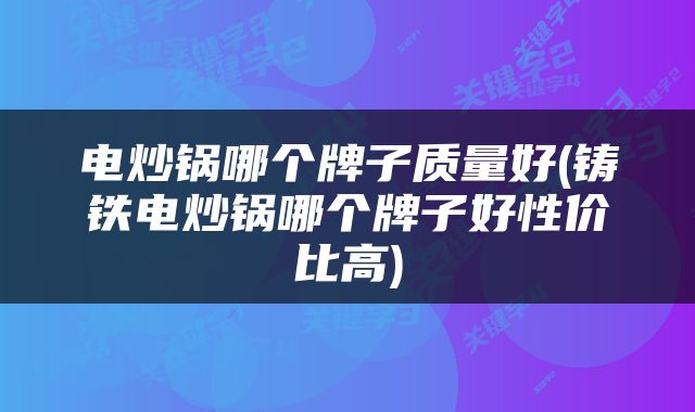 电炒锅哪个牌子质量好(铸铁电炒锅哪个牌子好性价比高)