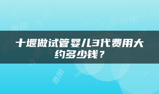 十堰做试管婴儿3代费用大约多少钱？