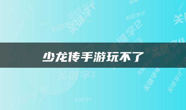少龙传手游玩不了