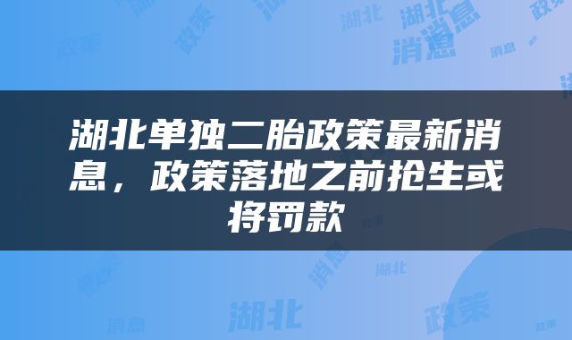 湖北单独二胎政策最新消息，政策落地之前抢生或将罚款