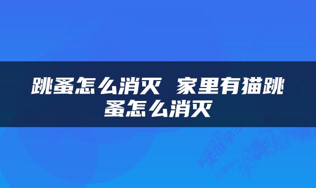 跳蚤怎么消灭 家里有猫跳蚤怎么消灭