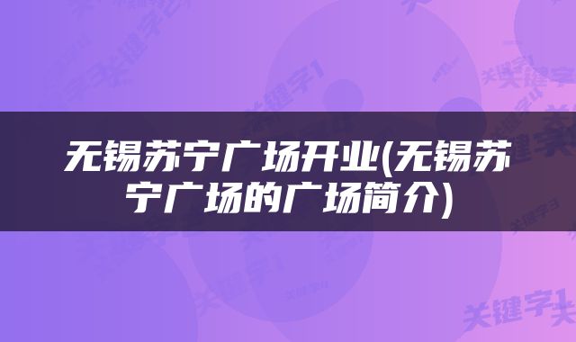 无锡苏宁广场开业(无锡苏宁广场的广场简介)
