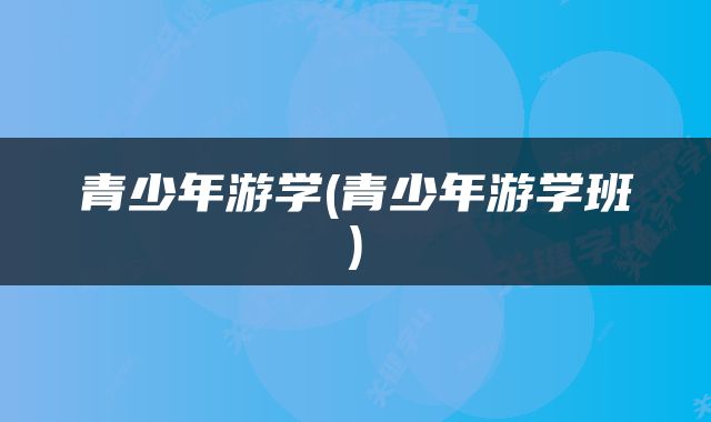青少年游学(青少年游学班)