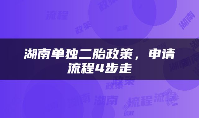 湖南单独二胎政策，申请流程4步走