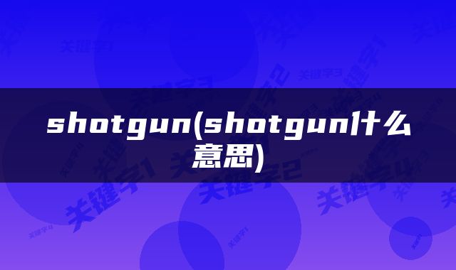 shotgun(shotgun什么意思)