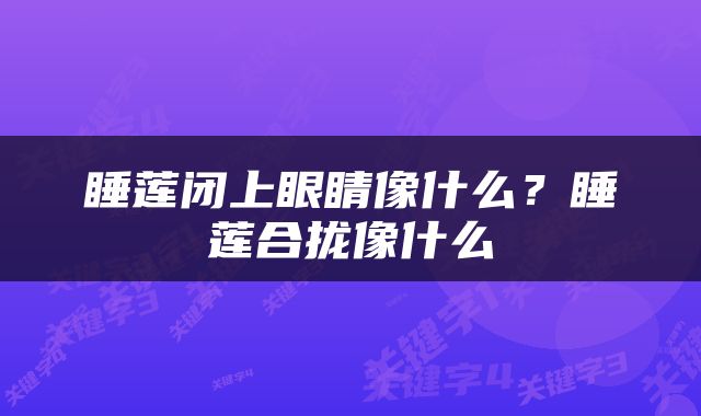睡莲闭上眼睛像什么？睡莲合拢像什么