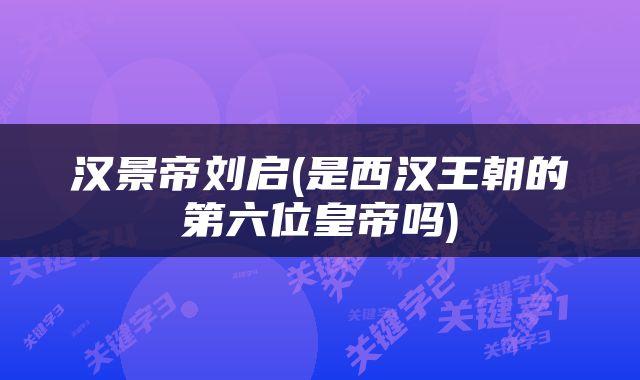 汉景帝刘启(是西汉王朝的第六位皇帝吗)