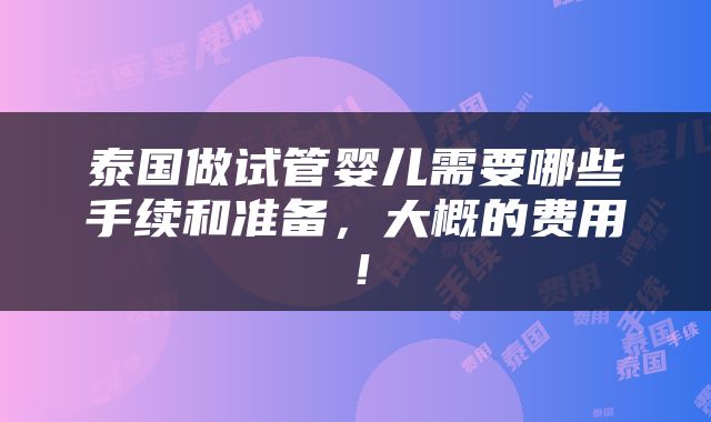 泰国做试管婴儿需要哪些手续和准备，大概的费用！