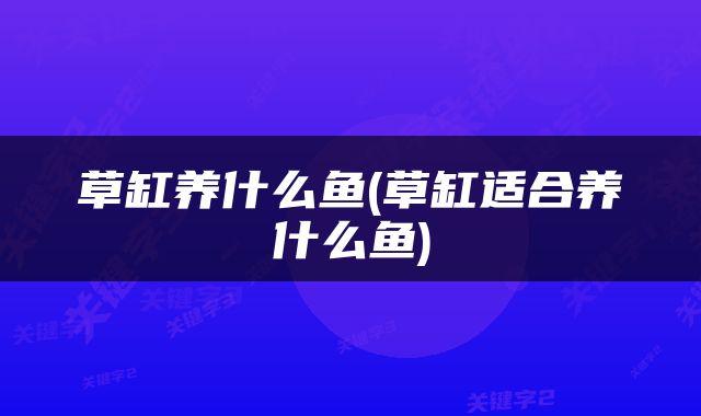 草缸养什么鱼(草缸适合养什么鱼)