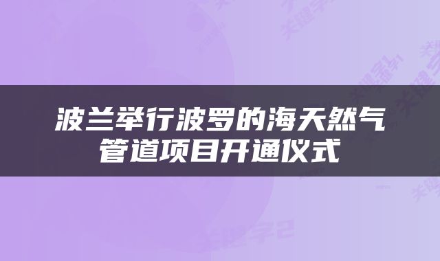 波兰举行波罗的海天然气管道项目开通仪式