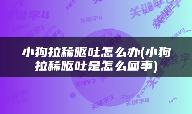 小狗拉稀呕吐怎么办(小狗拉稀呕吐是怎么回事)
