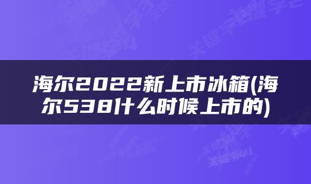 海尔2022新上市冰箱(海尔538什么时候上市的)