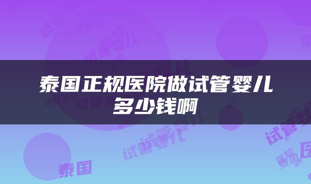 泰国正规医院做试管婴儿多少钱啊