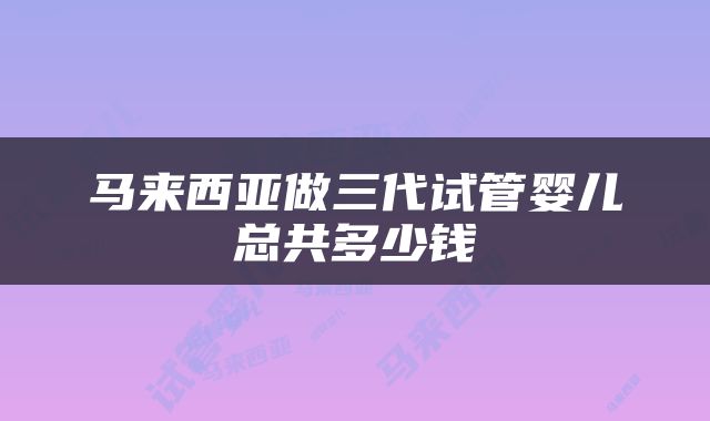 马来西亚做三代试管婴儿总共多少钱