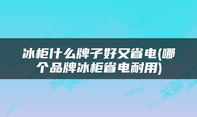 冰柜什么牌子好又省电(哪个品牌冰柜省电耐用)