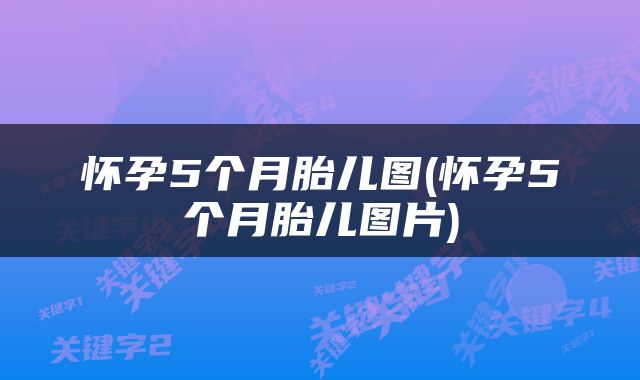 怀孕5个月胎儿图(怀孕5个月胎儿图片)