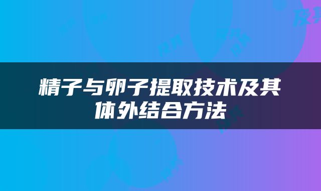 精子与卵子提取技术及其体外结合方法