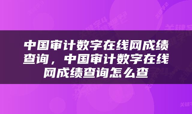 中国审计数字在线网成绩查询，中国审计数字在线网成绩查询怎么查