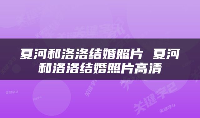 夏河和洛洛结婚照片 夏河和洛洛结婚照片高清
